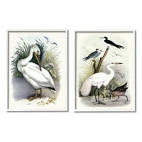 Stupell Industries Wild Pelican Birds ptičje ptičje vodene grafičke umjetnosti bijela uokvirena umjetnička print zidna umjetnost,