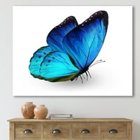 DesignArt 'Izbliza živog plavog leptira na bijeloj' Moderno platno zidna umjetnička print
