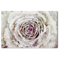Wynwood Studio cvjetni i botanički zidni umjetnički platneni cvjetni cvjetni cvjetni cvjetni cvjetnici - bijela, ružičasta