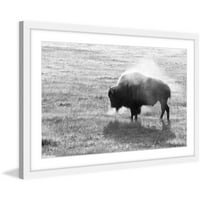Marmont Hill Lone Buffalo uokviren tisak slikarstva