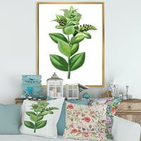 DesignArt 'Drevni zeleni listovi biljke vi' tradicionalno uokvireno platno zidne umjetničke ispis