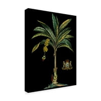 Zaštitni znak likovna umjetnost 'Palm i Crest on Black I' Canvas Art by Vision Studio