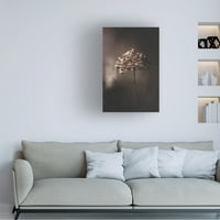 Takashi Suzuki 'Whitered Hydrangea 5' platno umjetnost