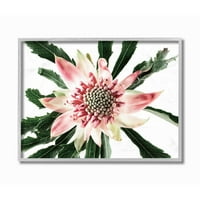 Stupell Industries Svijetle bliske cvijeće ružičaste bijele fotografije uokvirene zidne umjetničke dizajn Elise Catterall, 16 20