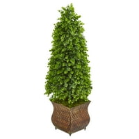 41 ”Eukaliptus konus Topiary Umjetno stab