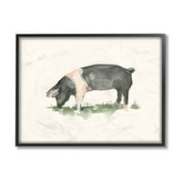 Svinja na farmi mumbo pase u polju Akvarelni crtež Ethana Harpera, 16 20