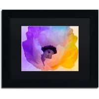 Zaštitni znak likovna umjetnost Poppy Gradient III Canvas Art by Color Pekara Black Matte, crni okvir