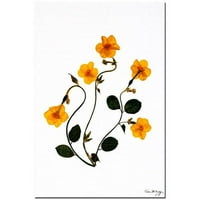 Zaštitni znak Art Daffodils Plescing Canvas Art by Kathie McCurdy, 16x24