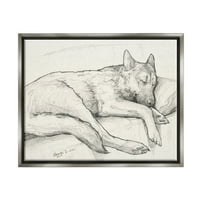 Pas za pse, sklupčan i odmarajući se, detaljan crtež grafitnom olovkom, ispis za crtanje, sjajno sivo, uokvireno plutajuće platno,