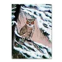Zaštitni znak likovna umjetnost 'Velika rogana sova zimi' platno umjetnost Arie Reinhardt Taylor