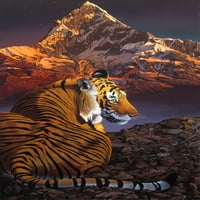 Otisak plakata svemirskog tigra Grahama Stevensona