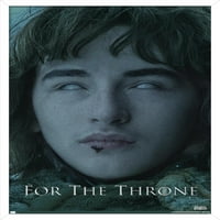 Zidni poster Game of Thrones-Bran Stark, 14.725 22.375