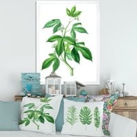 DesignArt 'Drevni zeleni lišće biljke v' tradicionalni uokvireni umjetnički tisak