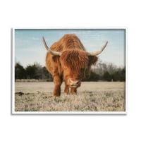 Stupell Farmhouse Highland Stock Ranch Animals & Insects Photography White Framed Art Print Art Art