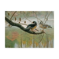 Zaštitni znak likovne umjetnosti 'Boje jesenske patke' platna umjetnosti Michaela Buddena