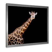 DesignArt 'Portret žirafe na crnoj pozadini III' Farmhouse uokvireni umjetnički tisak