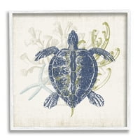 Stupell Industries Detaljno morska kornjača slojeviti koraljni vodeni život Grafička umjetnost bijela uokvirena umjetnička tiskana
