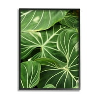Stupell Industries Bujne zelene listove Vegetacijsko tropsko biljno fotografiranje fotografija crna uokvirena umjetnička print zidna