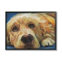 Stupell Industries Golden Retriever prosjače oči Ekspresivni portret psa, 16, dizajn Kamdon Kreations