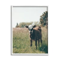 Krava tele seoska Farma livadske životinje i insekti fotografija umjetnički tisak u bijelom okviru zidna umjetnost