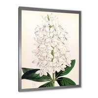 DesignArt 'drevna bijela orhideja III' Tradicionalni uokvireni umjetnički tisak