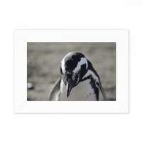 Slatki pingvini, znanost, priroda, slika, okvir za fotografije, umjetničko slikanje radne površine