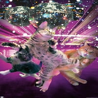 James Booker - zidni poster disko mačke, 22.375 34