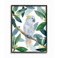 Stupell Industries tropska grana zelenila za ptice kokatoo uokvirena zidna umjetnička dizajna Annie Warren, 11 14