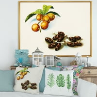 DesignArt 'Drevni voće iv' Farmhouse uokvirena platna zidna umjetnička tiska