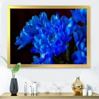 DesignArt 'plava Chrysanthemum cvjetovi na crnoj pozadini' Tradicionalni uokvireni umjetnički tisak