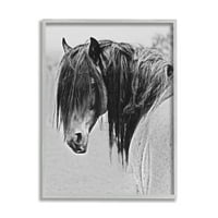 Stupell Industries Black White Monorrome Serene Fjord Horse Portret 30, Dizajn Sally Linden