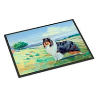 Carolines Treasures 7140JMAT Tepih za kuće ili ulice Collie 24x36, 36L 24W, višebojne