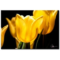 Zaštitni znak likovna umjetnost Žuti tulipani v platno umjetnost Martha Guerra, 16x24