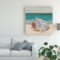 Zaštitni znak likovna umjetnost 'Ona prodaje se morske školjke I' Canvas Art by Alicia Ludwig