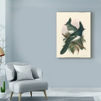 Zaštitni znak likovne umjetnosti 'Ptice u prirodi v' platno umjetnost J. C. Keulemans