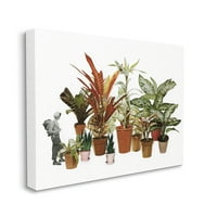 Stupell Industries raznolika terakota u lončanima kućnih biljaka cvjetna osoba kolaž platno zidna umjetnost, 24, dizajn by cassia