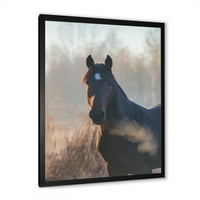 DesignArt 'Izbliza portret konja na jesensko jutro' Farmhouse uokvireni umjetnički tisak