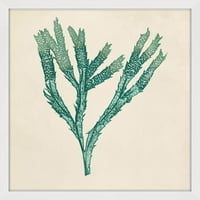 Marmont Hill Kromatske morske alge III uokvireni tisak slikanja