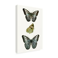 Zaštitni znak likovne umjetnosti Uzorak leptira I Canvas Art by Vision Studio