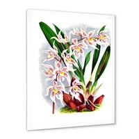 DesignArt 'Bijeli vintage orhideja cvijet II' Tradicionalni uokvireni umjetnički tisak
