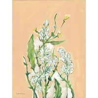 Mingo, Jessica Black uokvirena suvremena muzejska umjetnička gravura pod nazivom proljetna Flora