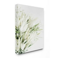 Stupell Industries Svijetli prirodni cvjetni aranžman Bijelo zelena fotografija platna zidna umjetnička dizajna Elise Catterall,