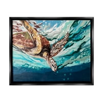 Stupell Industries prskajući ronjenje morskih kornjača ispod oceanskog površinskog slikanja Jet Black Floating Frated Canvas Umjetnost