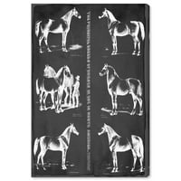 Wynwood Studio životinje zidne umjetničke platnene platnene ispise Načinjene pasmine konja Životinje - crno, bijelo