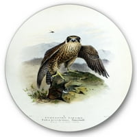 Dizajnerska umjetnost drevni ptičji život Tradicionalni kružni metalni zidni umjetnički disk od 36