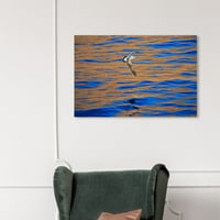 Wynwood Studio Nautical and Coastal Wall Art Canvas Otisci 'zapadni gall David Fleetham' obalno - plava, bijela