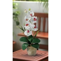 Gotovo prirodni cvjetni aranžman od svilene orhideje phalaenopsis, bijeli