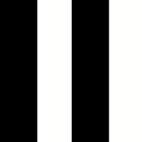 Waverly Inspirations 45 pamučno šivanje i zanatska tkanina YD by Bolt, široka traka crna