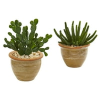 Kaktus sočna umjetna biljka u keramičkoj vazi