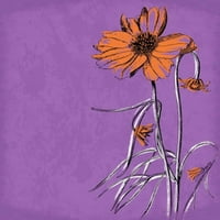 Ispis plakata s cvijećem Jacea sivog